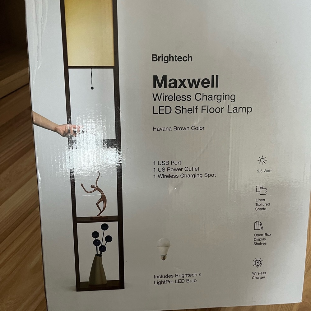 Brandon Maxwell Brown LED Shelf Floor Lamp